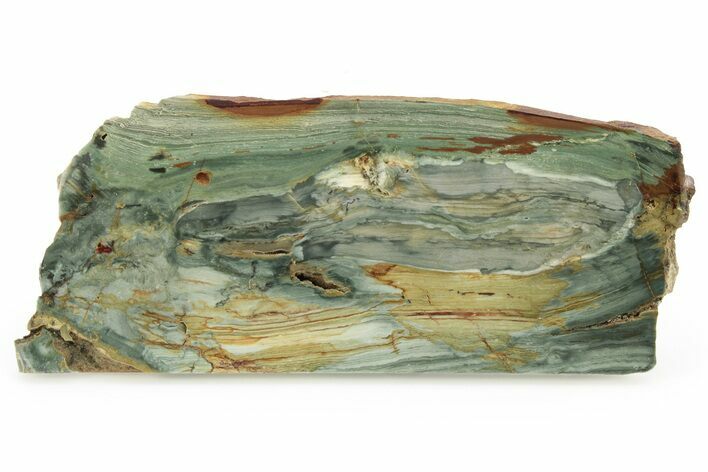 Gary Green Jasper (Larsonite) Bog Wood Slab - Oregon #263369